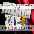 Kamagra Oral Jelly 100Mg How To Use 11